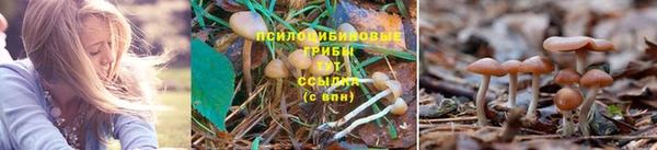 ALPHA-PVP Рыльск